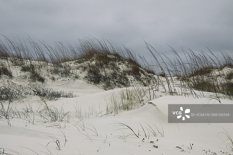 沙丘景观图片素材