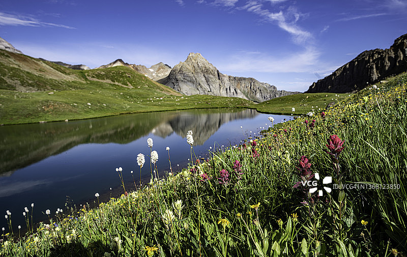 上蓝湖野花图片素材