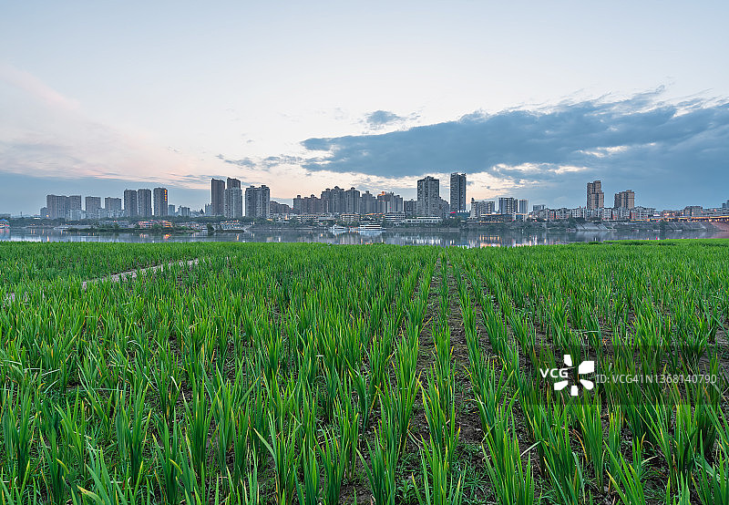 中国四川南充城市景观图片素材