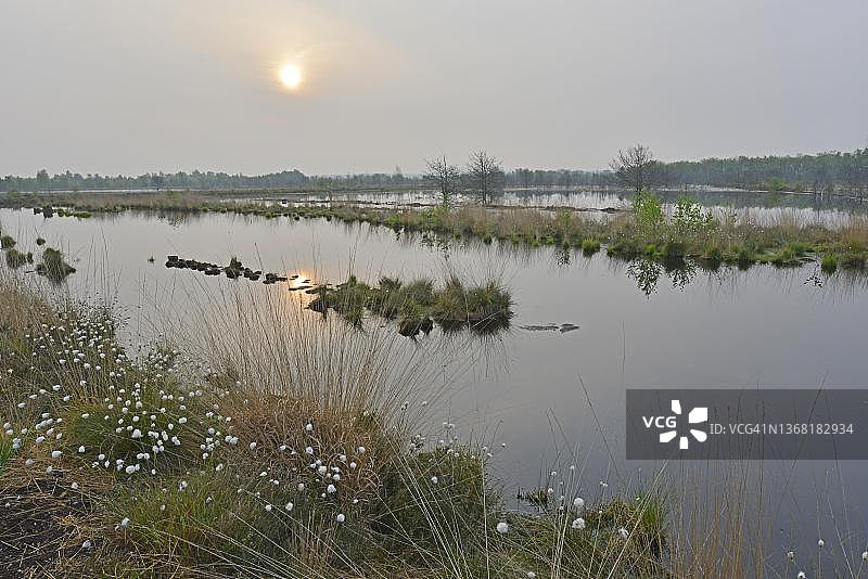 德国下萨克森州埃姆斯兰的沼泽地图片素材