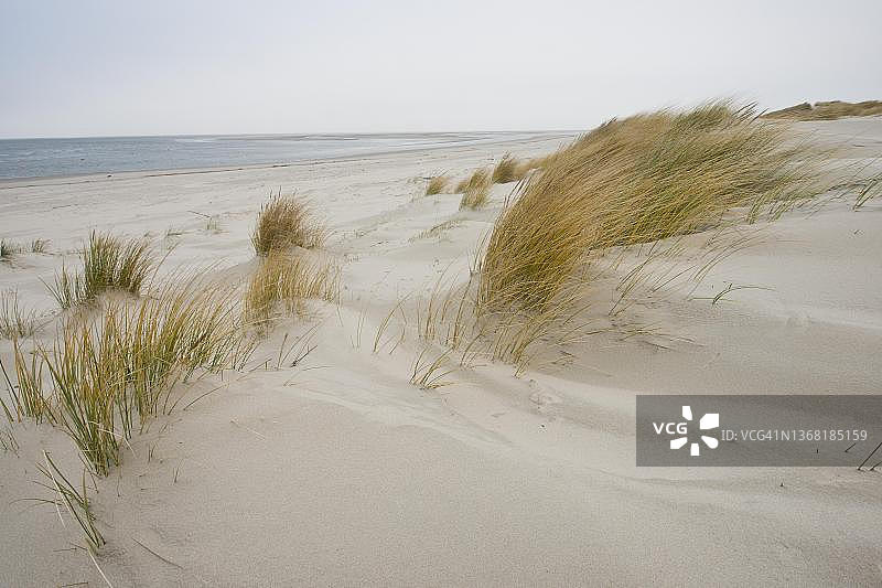 德国下萨克森州朗格奥格岛沙丘景观图片素材