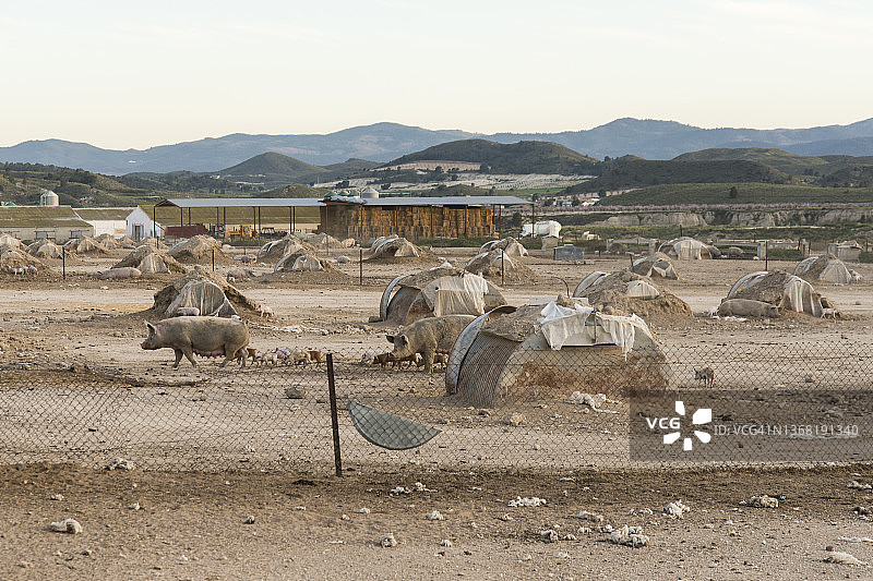 西班牙穆尔西亚因过度耕作而退化的自然区域图片素材