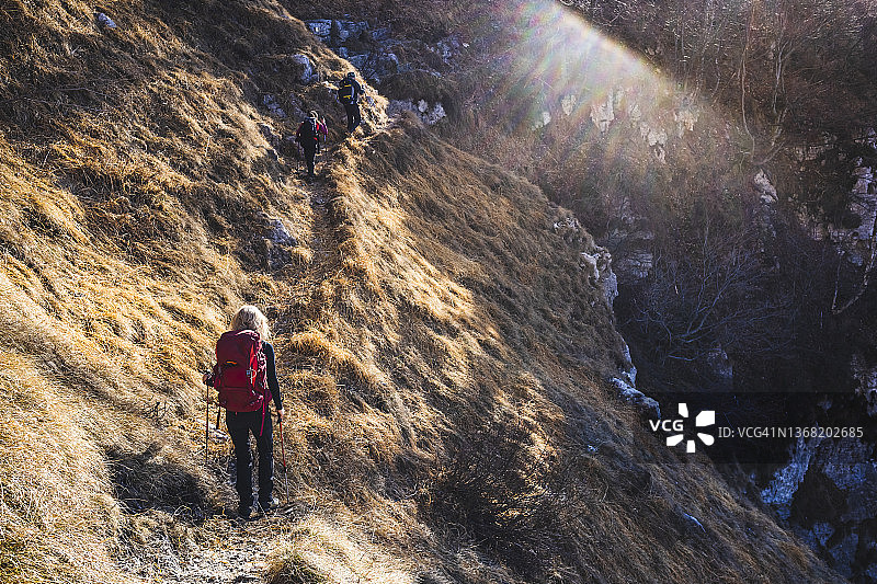 徒步者在森林山间小道上行走图片素材