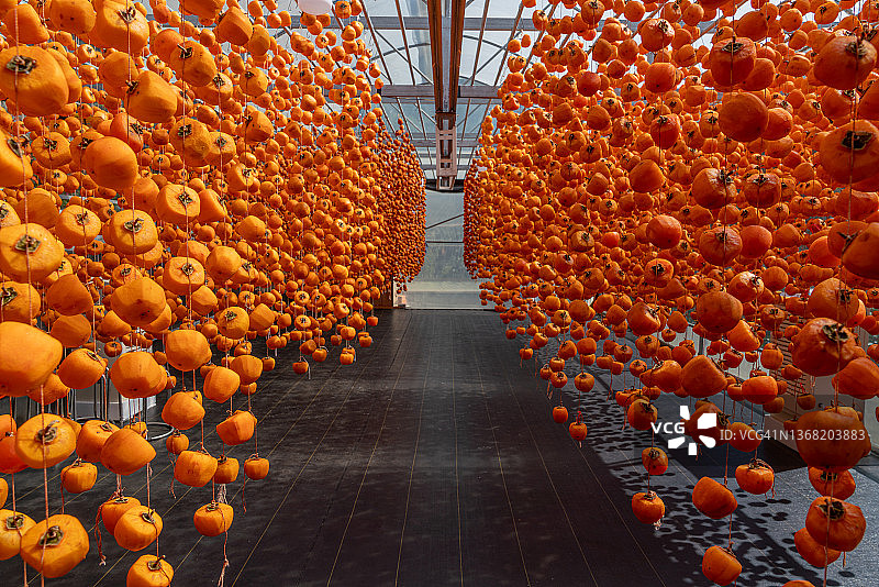 自然风干柿饼技术 - 8K分辨率图片素材