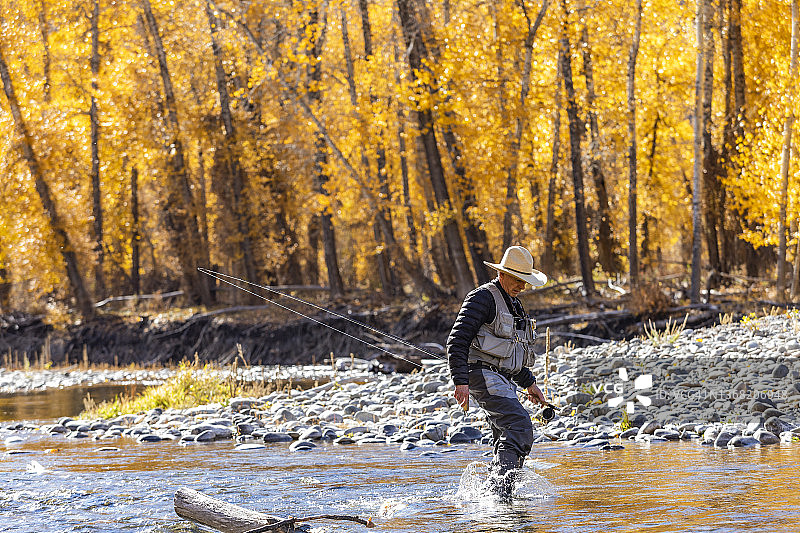 美国爱达荷州，秋季在Big Wood河中涉水的年长渔民图片素材