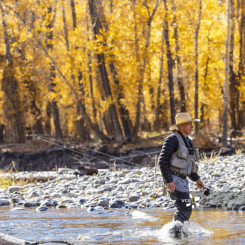 美国爱达荷州，秋季在Big Wood河中涉水的年长渔民图片素材