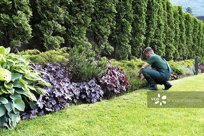专业景观美化图片素材