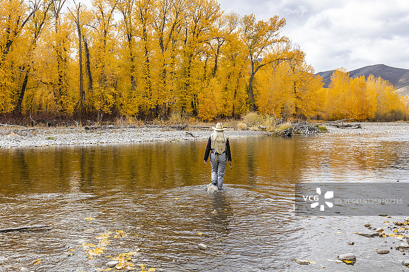 美国，爱达荷州，贝尔维尤，秋天，女子在大木河飞钓图片素材