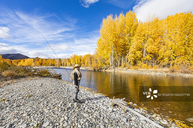 美国，爱达荷州，贝尔维尤，秋天，女子在大木河飞钓图片素材