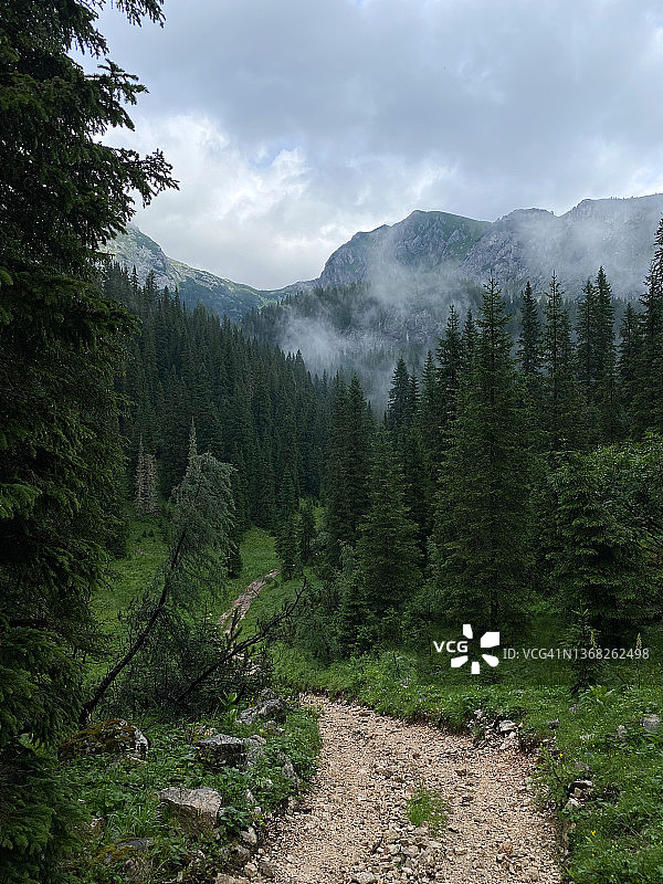 特里格拉夫国家公园雾中山径图片素材