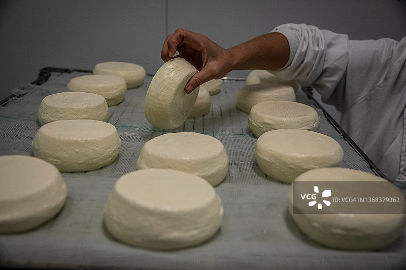 架子上排列着手工奶酪图片素材