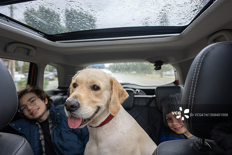 快乐的兄弟和他们的狗在公路旅行图片素材