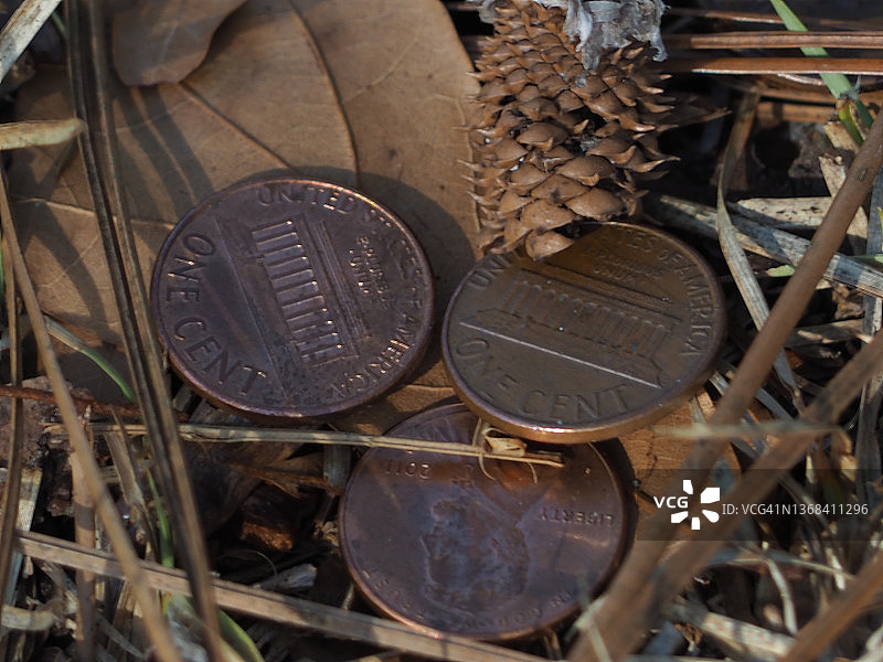 有机货币图片素材