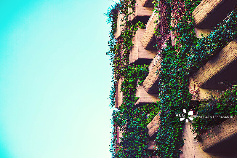 覆盖城市住宅建筑立面的竖版绿色花园图片素材
