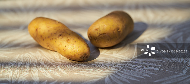 两颗土豆图片素材