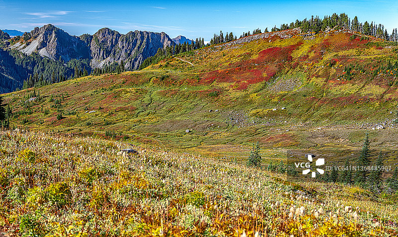 金门大桥沿途风光图片素材