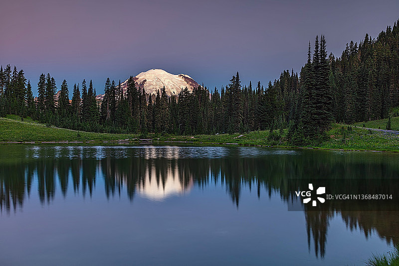 黎明的玫瑰色图片素材