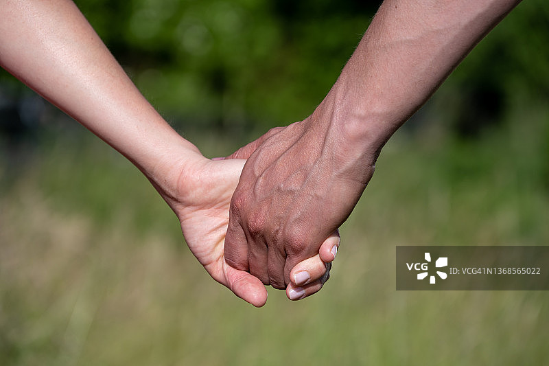 情侣手牵手特写图片素材