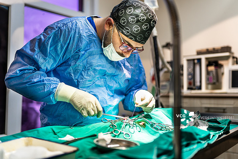 男兽医给动物做手术图片素材