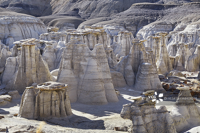 阳光明媚的荒地景观，美国新墨西哥州比斯蒂荒地图片素材