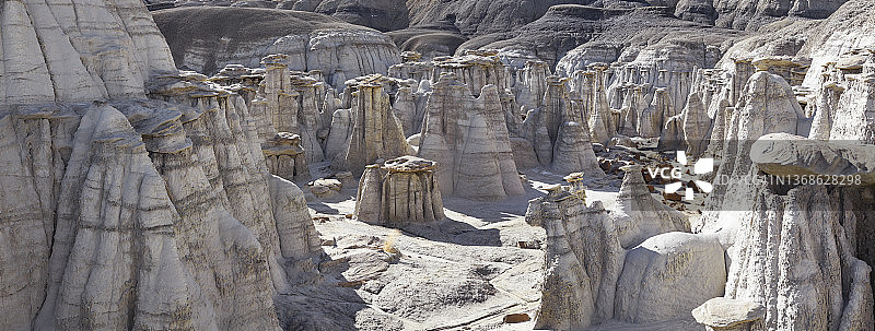 阳光明媚的荒地景观，美国新墨西哥州比斯蒂荒地图片素材