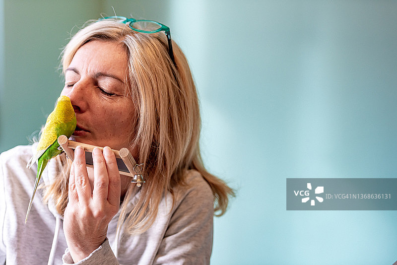 女人爱抚可爱的黄色虎皮鹦鹉图片素材