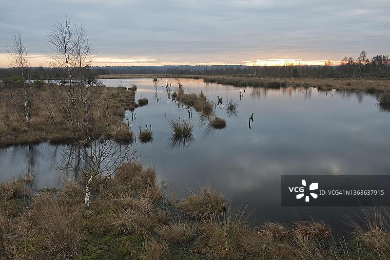 德国下萨克森州埃姆斯兰的沼泽地图片素材