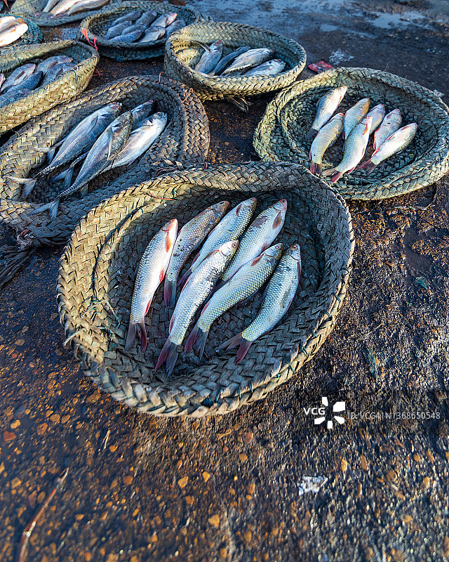 伊卜拉欣·海德里鱼市场，卡拉奇图片素材