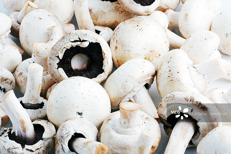 白色双孢蘑菇（香菇）图片素材