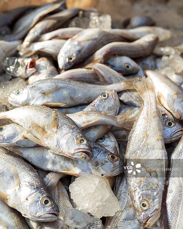 伊卜拉欣·海德里鱼市场，卡拉奇图片素材