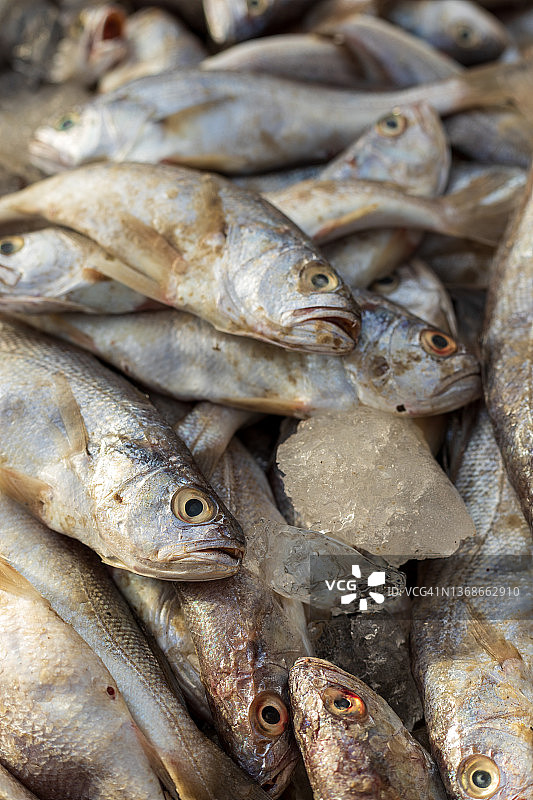 伊卜拉欣·海德里鱼市场，卡拉奇图片素材