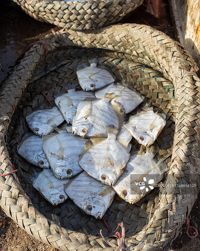 伊卜拉欣·海德里鱼市场，卡拉奇图片素材
