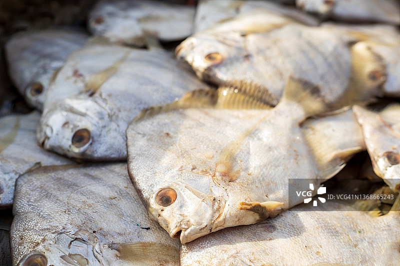 伊卜拉欣·海德里鱼市场，卡拉奇图片素材