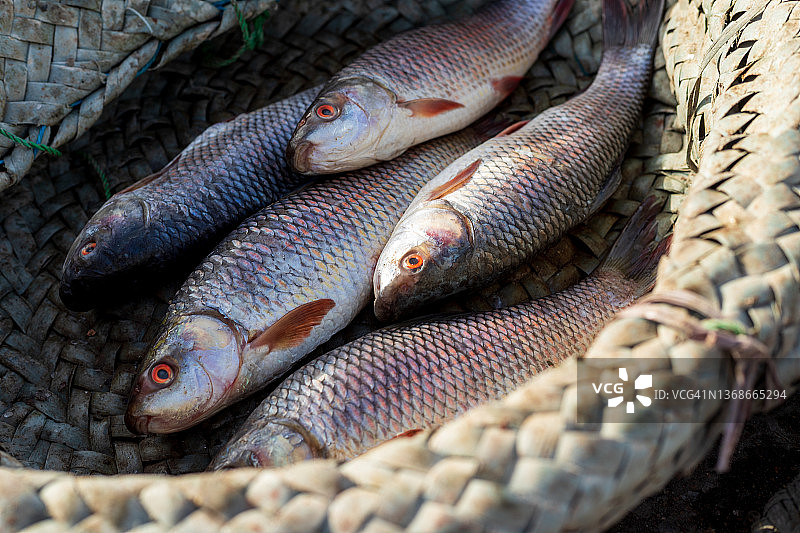 伊卜拉欣·海德里鱼市场，卡拉奇图片素材