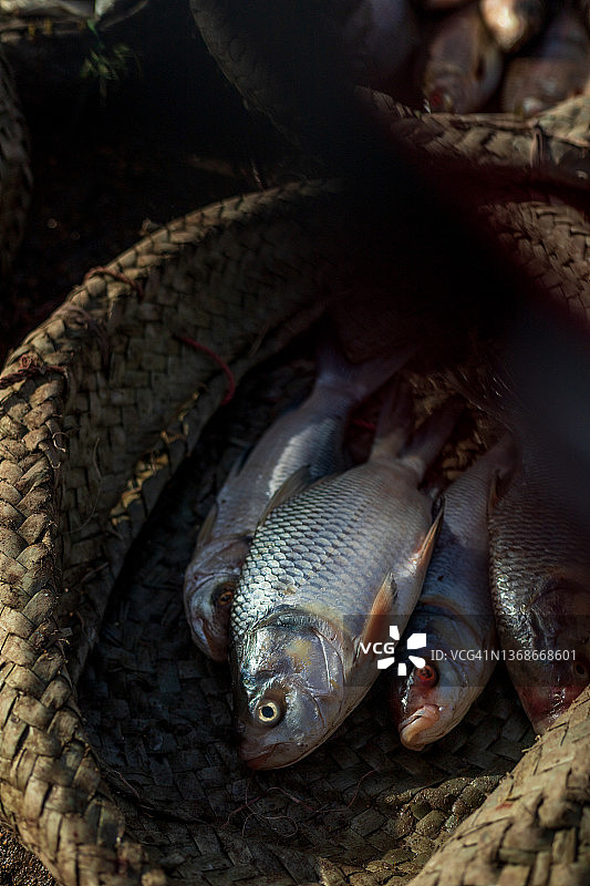 伊卜拉欣·海德里鱼市场，卡拉奇图片素材