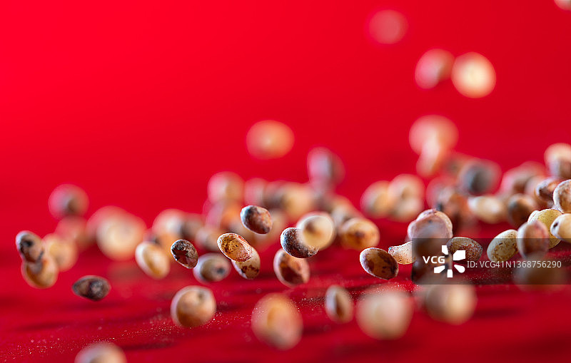 红色背景中飞舞的红色高粱图片素材