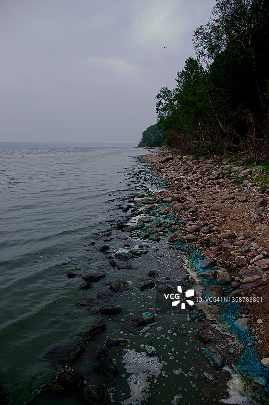 湖岸上的蓝绿色藻类图片素材