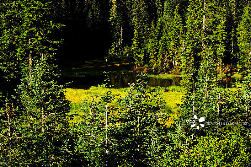 小山湖周围的常绿树木图片素材
