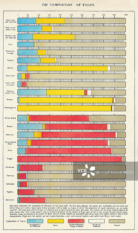 食物成分对比表的老式彩色石印插图图片素材