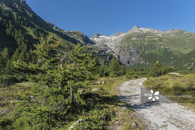 罗纳河谷的风景，靠近格莱奇村庄，背景是罗纳冰川山脉，瑞士瓦莱州上瓦尔德图片素材