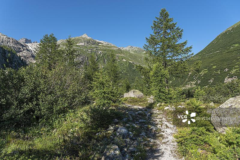 罗纳河谷的风景，靠近格莱奇村庄，背景是罗纳冰川山脉，瑞士瓦莱州上瓦尔德图片素材