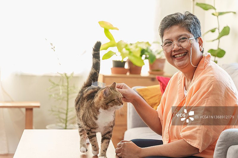 年长亚洲妇女梳理一个可爱的猫与刷子。图片素材