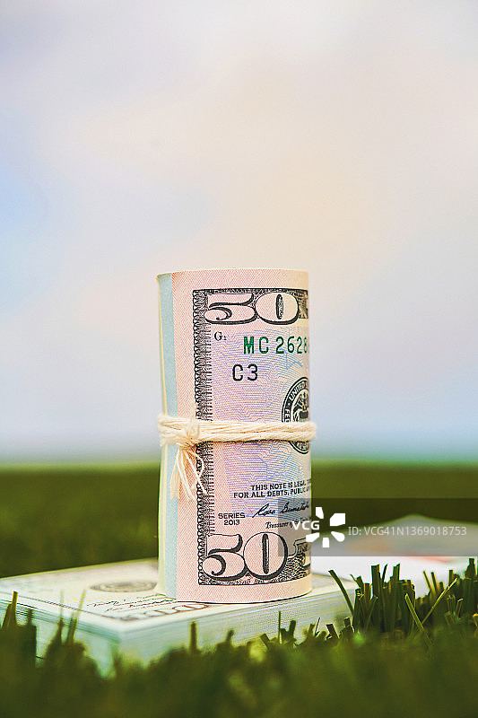 草地背景下的一卷美元，带天空和复制空间图片素材