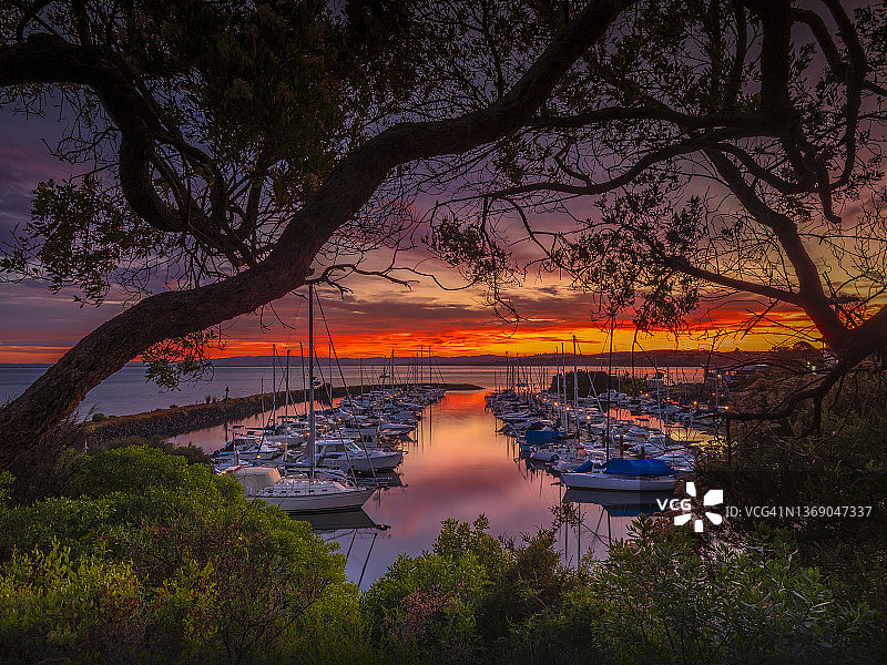 澳大利亚维多利亚州纽黑文游艇俱乐部的黎明天空图片素材
