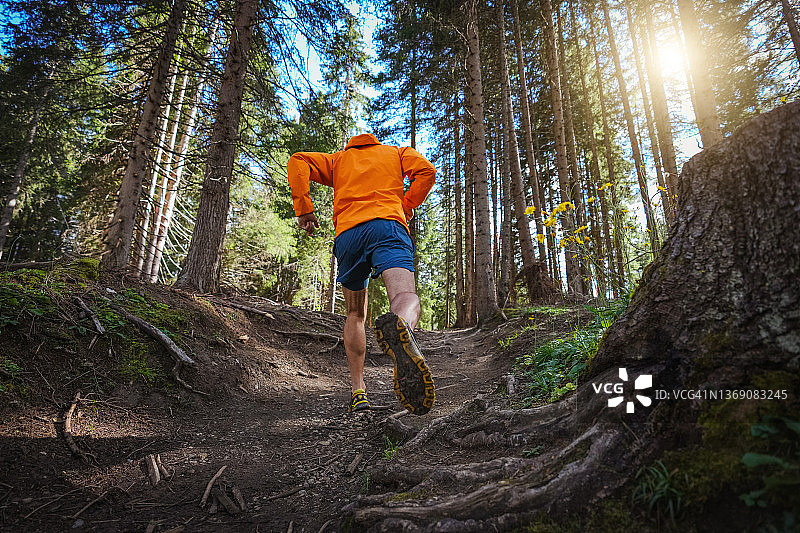 男子在森林中跑步图片素材