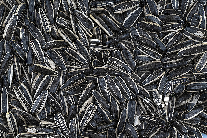 黑色葵花籽全画幅视图图片素材