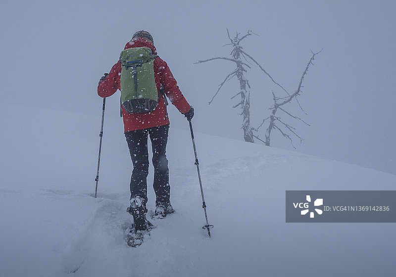 雪中森林里的攀岩者图片素材