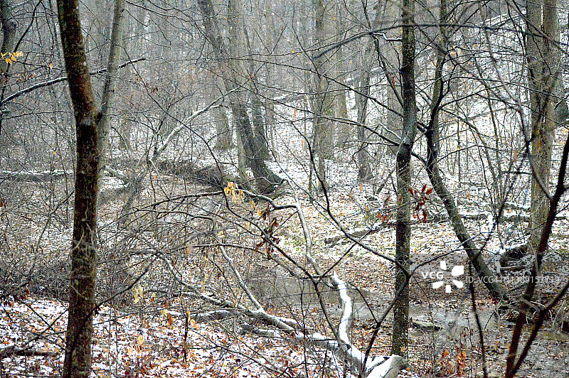 宾夕法尼亚的冬季风景图片素材