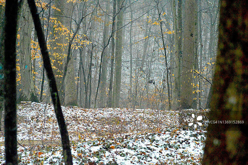 宾夕法尼亚的冬季风景图片素材