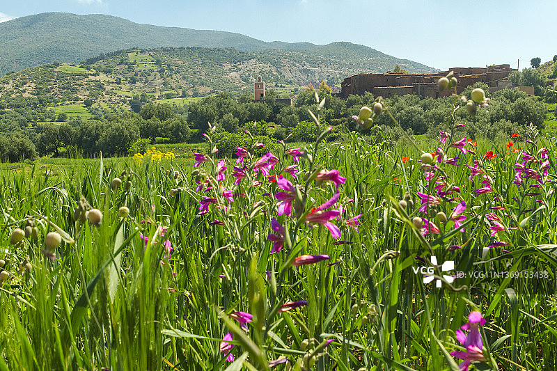 摩洛哥乌里卡山谷，北非图片素材